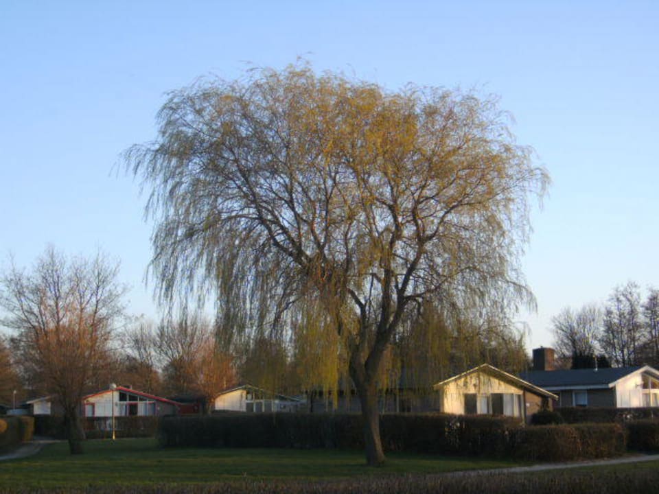 Park im Park Het Grootslag Vakantiepark