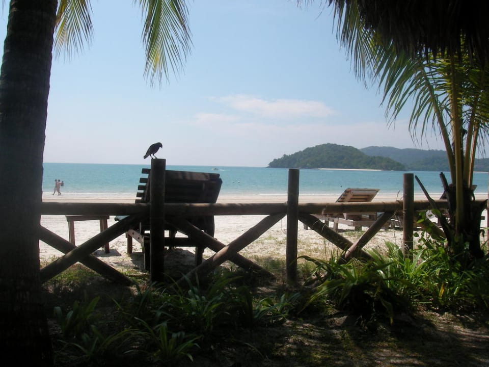 Blick von der Liege Hotel Beach Garden Resort