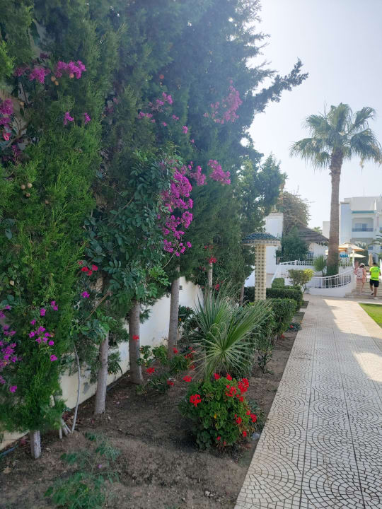 Gartenanlage Hotel Royal Nozha