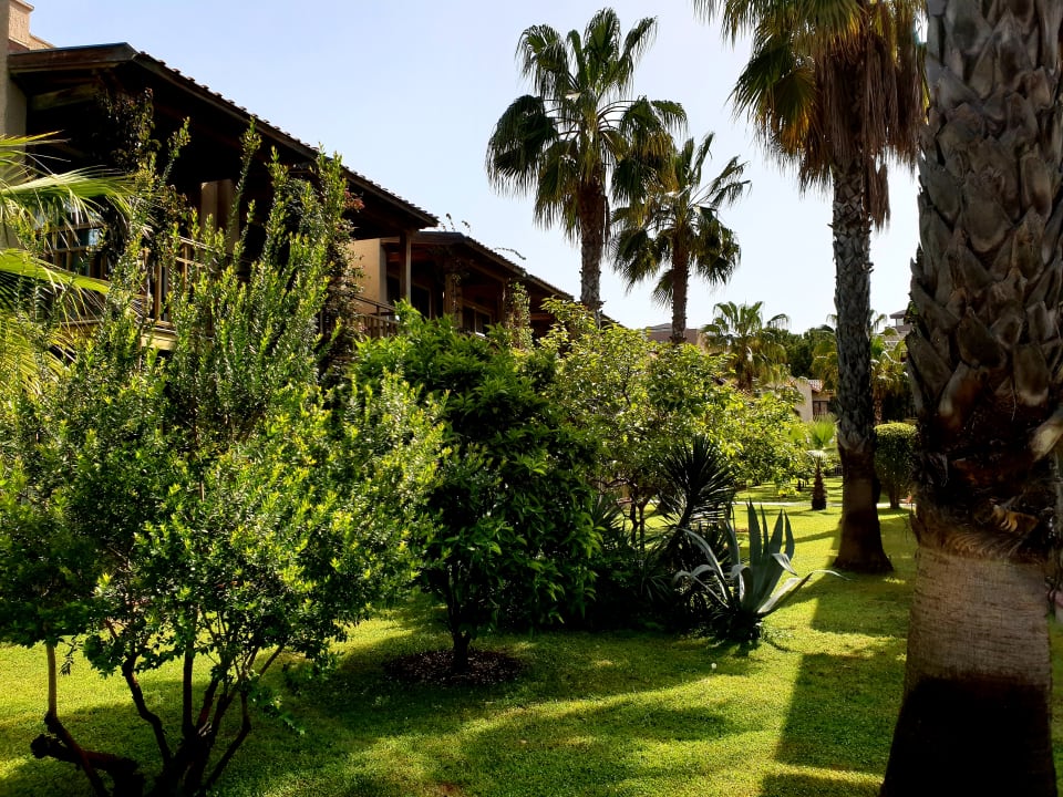 Gartenanlage Paloma Oceana