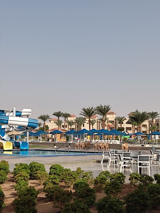 Sport & Freizeit Pickalbatros Aqua Park Resort - Hurghada