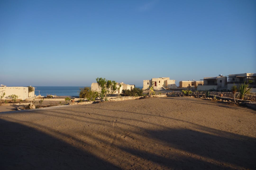 Bungalows mit Meerblick The Oasis Dive Resort