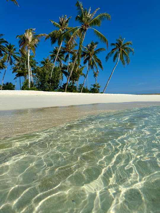 Strand ananea Madivaru Maldives