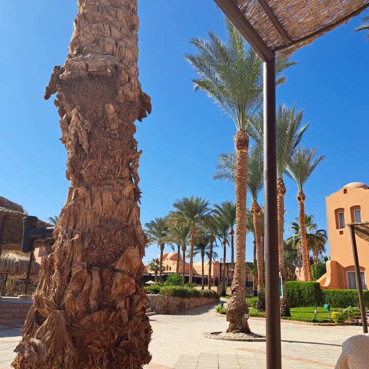 Gartenanlage Jaz Makadi Oasis Resort