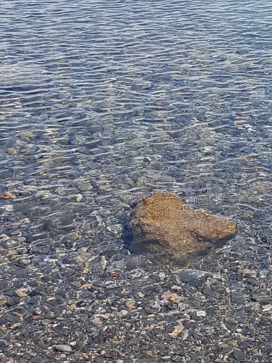 Hotelstrand Hotel Club Datca Tatil Koyu