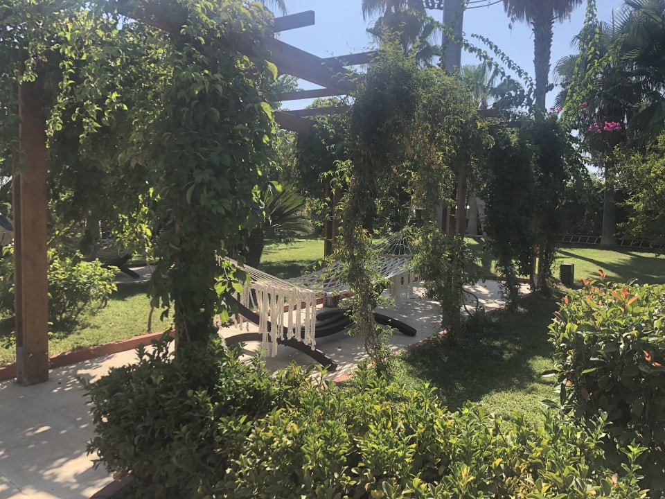 Außenansicht Saphir Resort & Spa