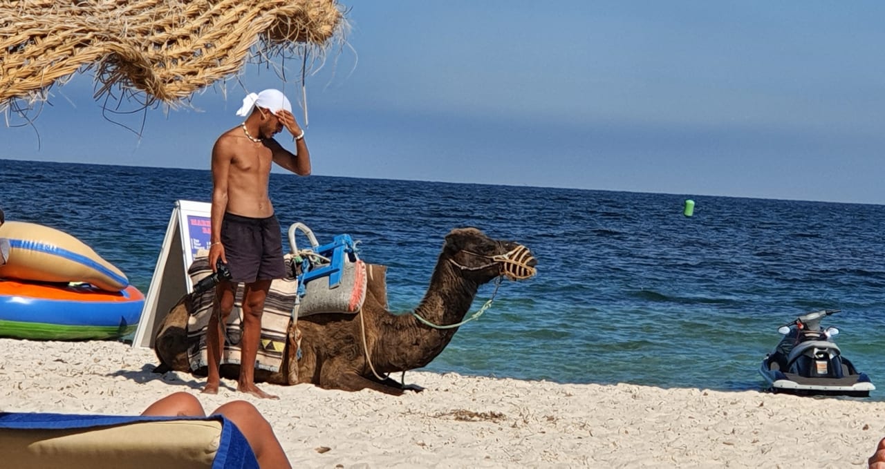 Strand Hotel Marhaba Palace