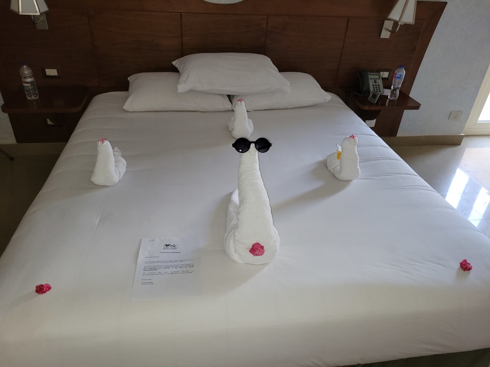 Zimmer Stella Garden Resort & Spa, Makadi Bay