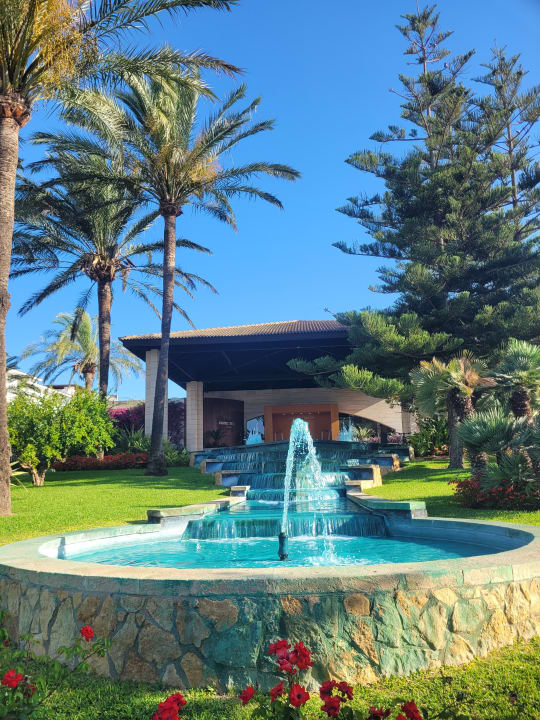 Gartenanlage Prinsotel La Dorada