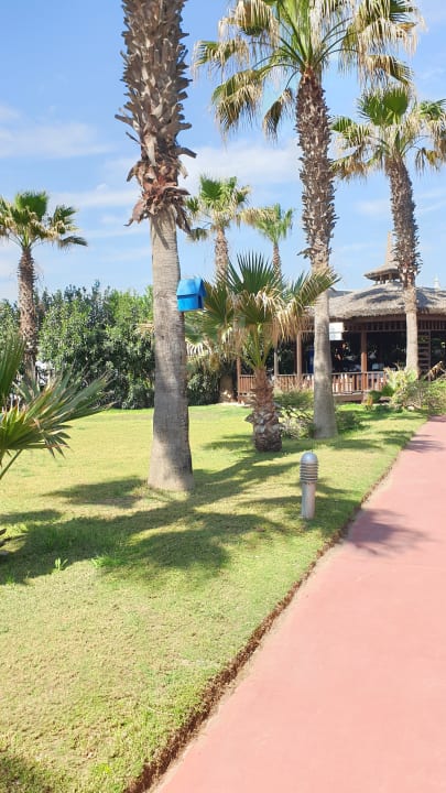 Gartenanlage Saturn Palace Resort Hotel