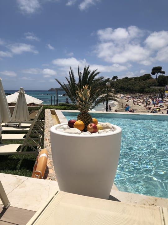 Ausblick Son Moll Sentits Hotel & Spa