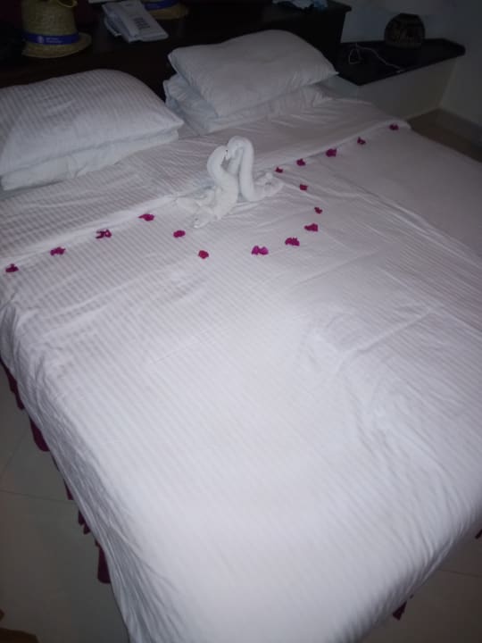 Zimmer Neptune Paradise Beach Resort & Spa