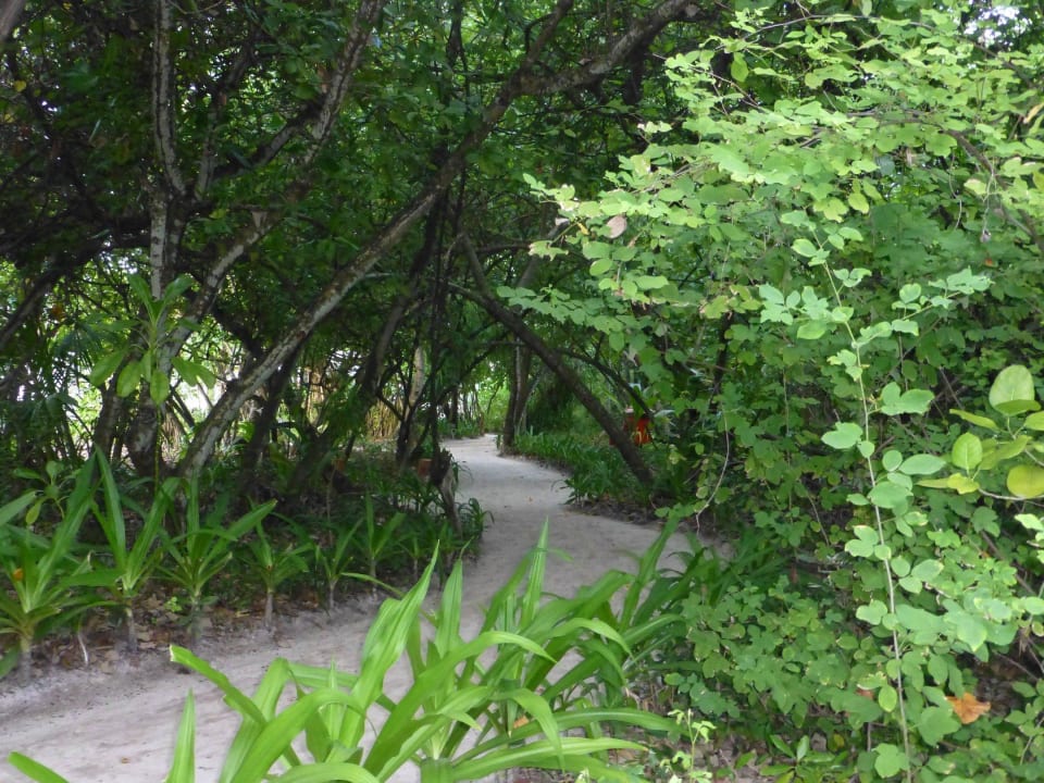 Inselinnere NH Collection Maldives Reethi Resort