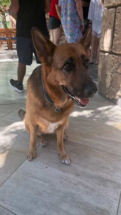 Sonstiges Club Resort Atlantis