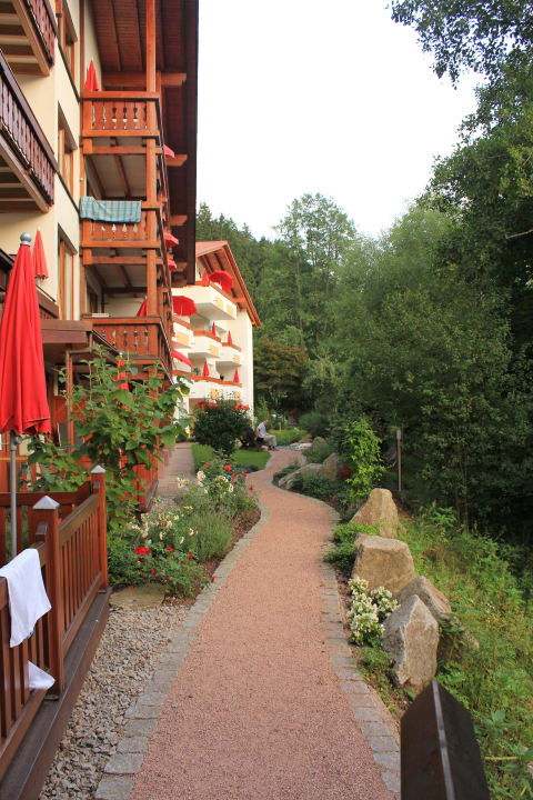 Blick auf den Garten hinter der Sonne Hotel Sonne