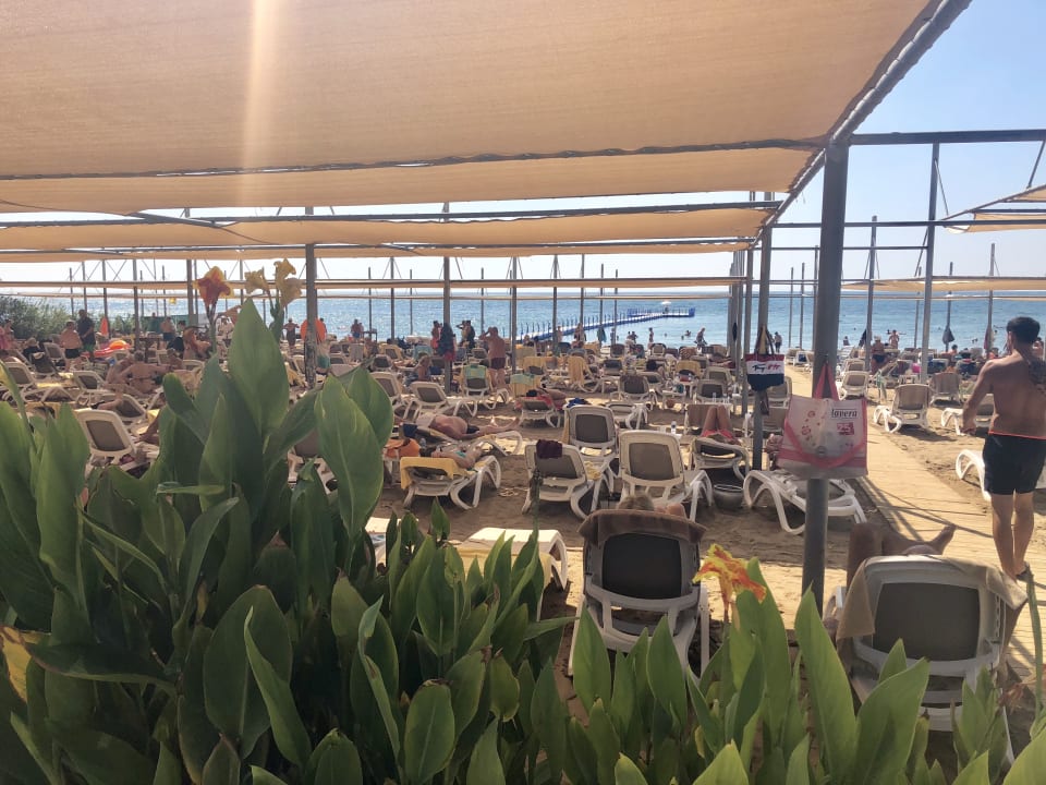 Strand Sidemarin Kirman Premium