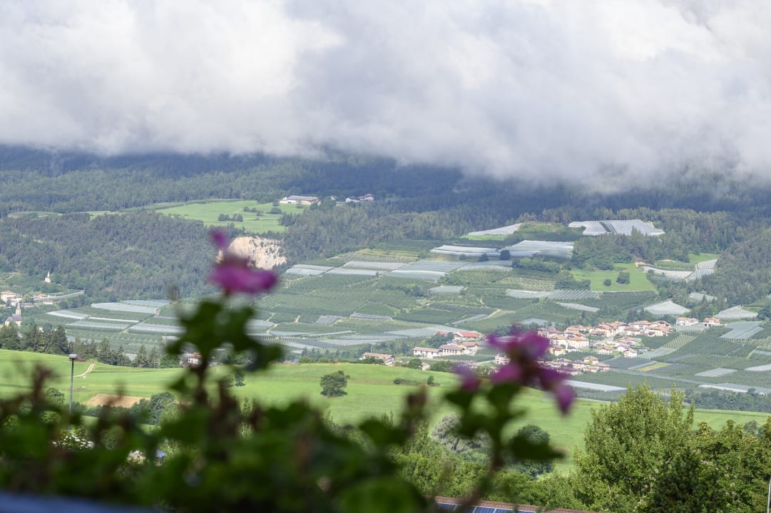 Ausblick Hotel Regina Del Bosco