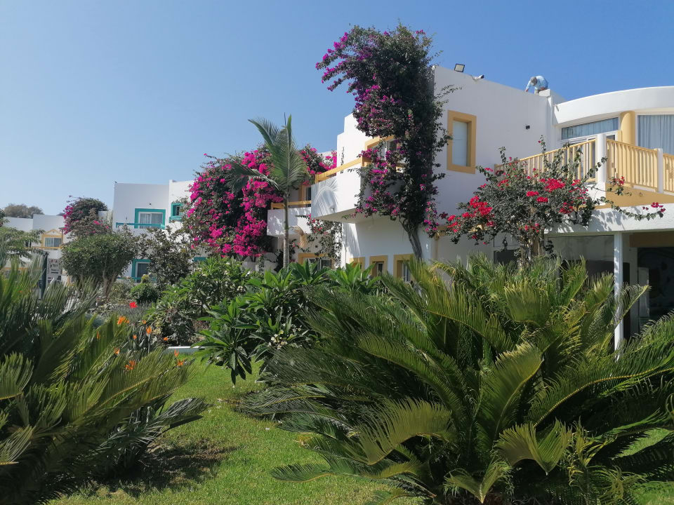 Gartenanlage Mastichari Bay Hotel