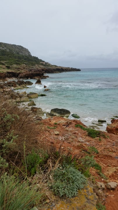 Strand FERGUS Club Carema Splash