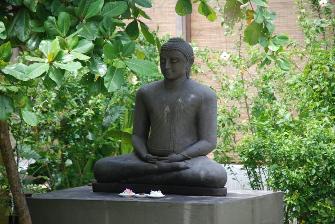 Sonstiges Hotel Muthumuni Ayurveda Beach Resort