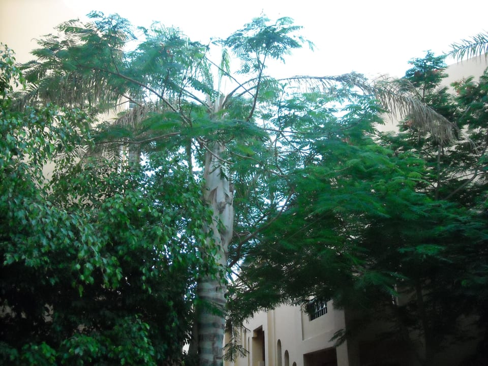 Weg vom Strand zum Zimmer Stella Beach Resort & Spa Makadi Bay