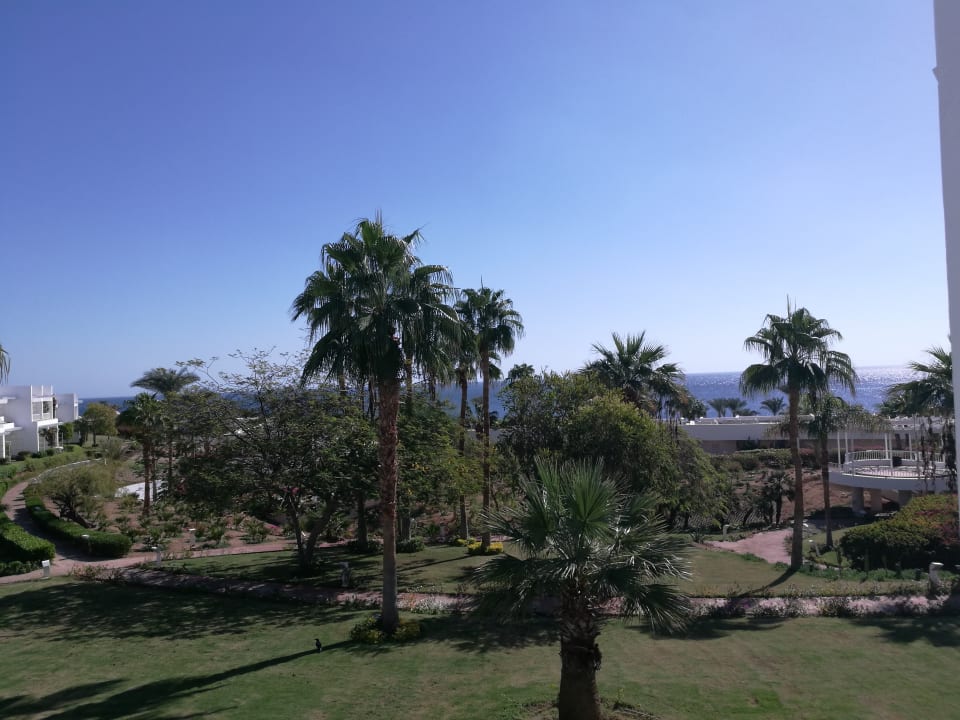 Blick vom Zimmer Balkon Monte Carlo Sharm Resort & Spa