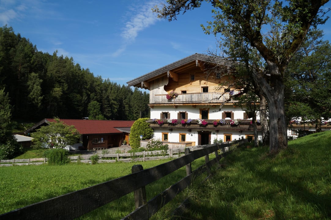 Hagenhof Scheffau Pension-Biobauernhof Hagenhof