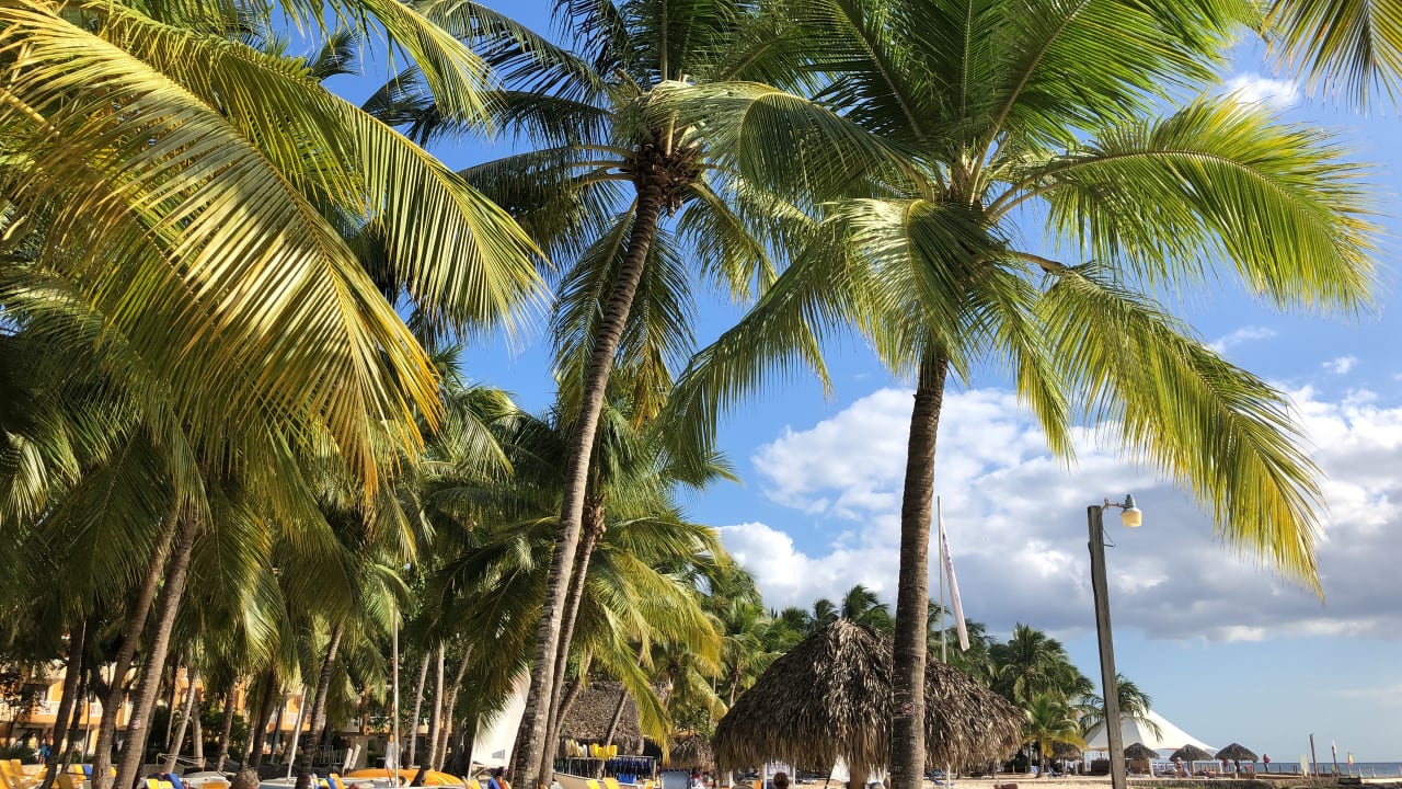 Strand Hotel Viva Dominicus Beach by Wyndham - All Inclusive Resort