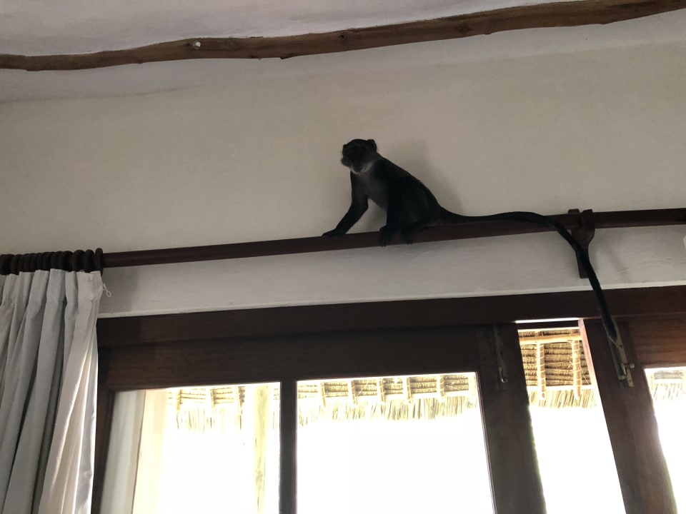 Zimmer Neptune Palm Beach Boutique Resort & Spa