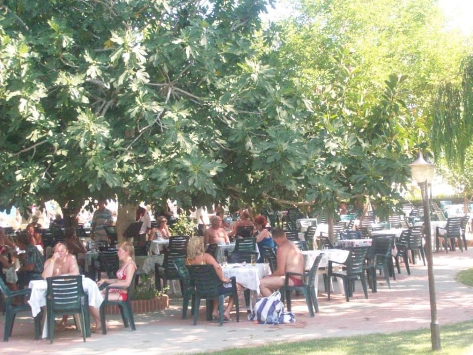 Beachbar Hotel Gardenia Beach