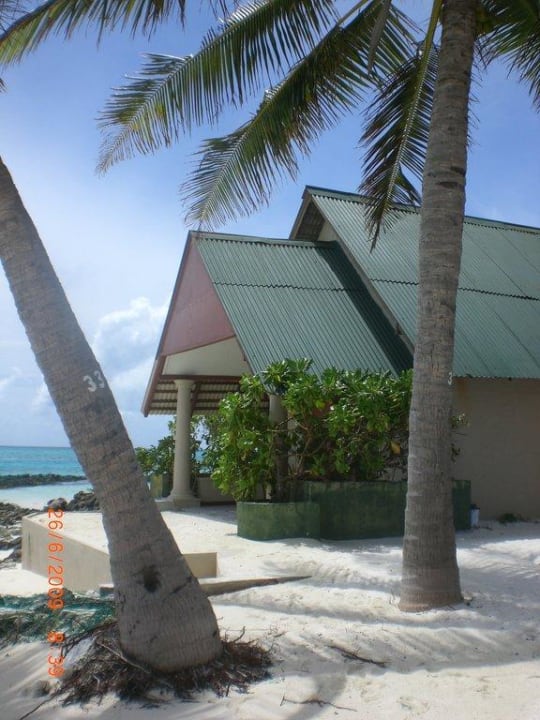 Bungalow Summer Island Maldives