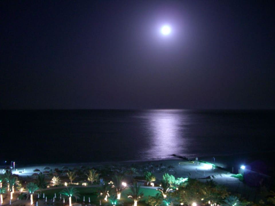 Gigantisch Hotel Le Meridien Al Aqah Beach Resort