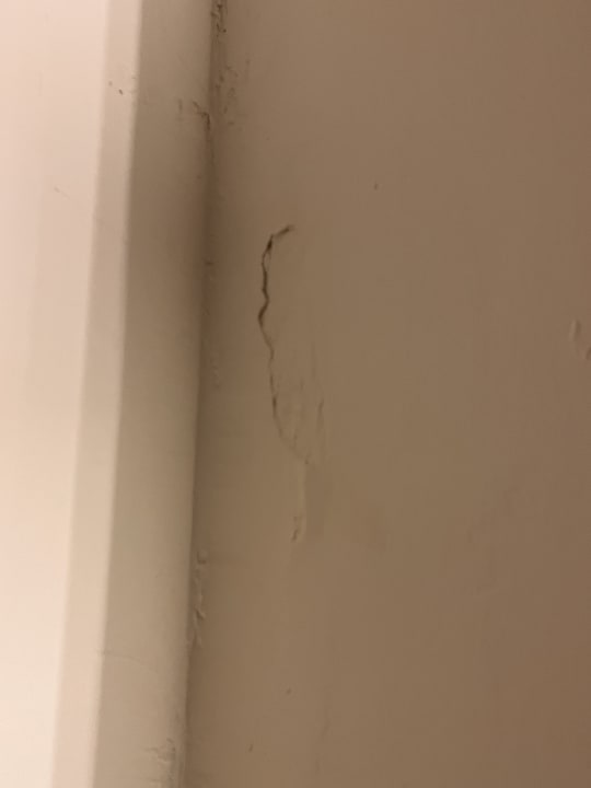 Zimmer AQI Pegasos World