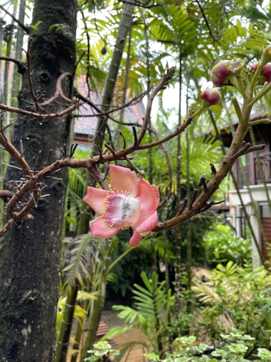 Ausblick Khaolak Bhandari Resort & Spa