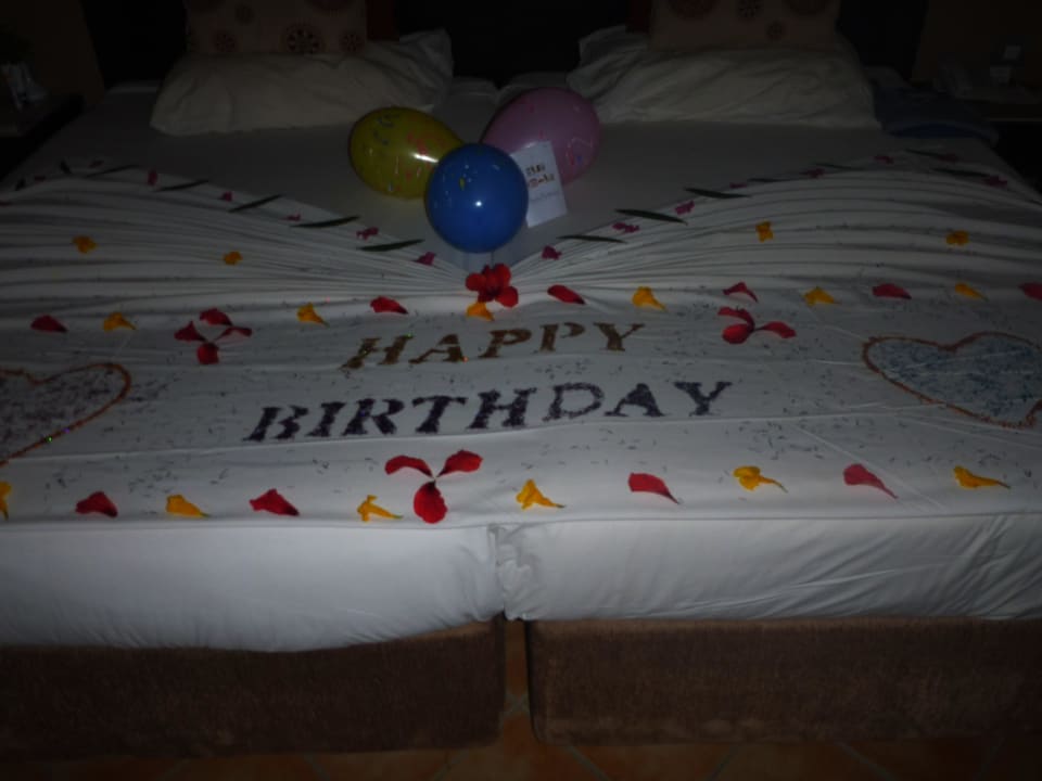 Mein geburtstag Jaz Makadi Blue - TUI BLUE Makadi - Adults Friendly 16 Years Plus