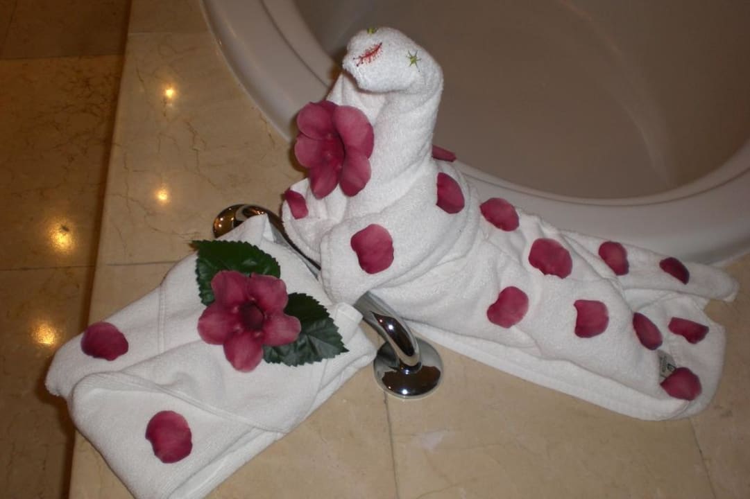 Handtuchschwan TRS Turquesa Hotel - Adults only