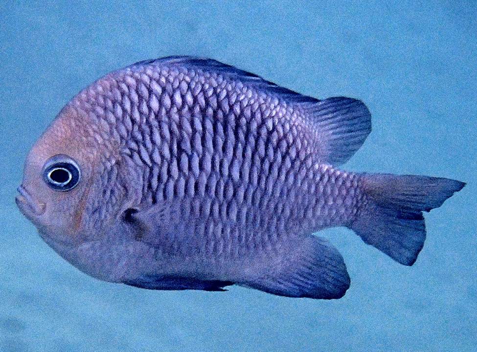 Sonstiges Lahami Bay Beach Resort