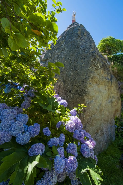 Blumen im Garten Hotel Cernia Isola Botanica
