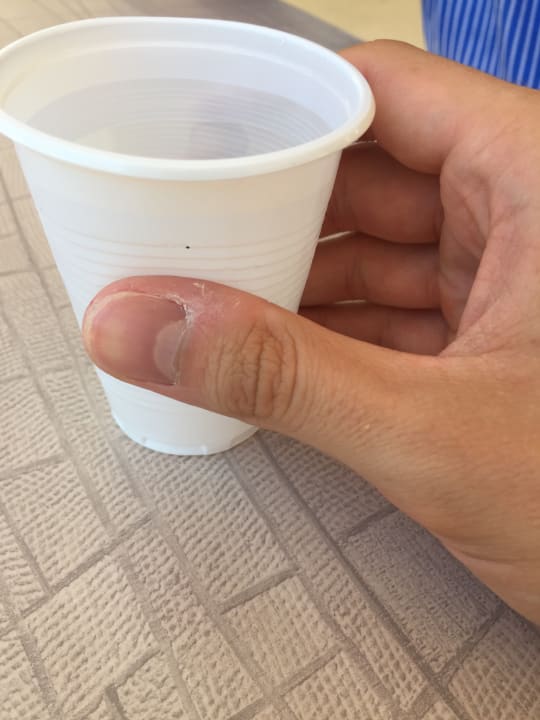 Gastro Monarque Dar Jerba Zahra