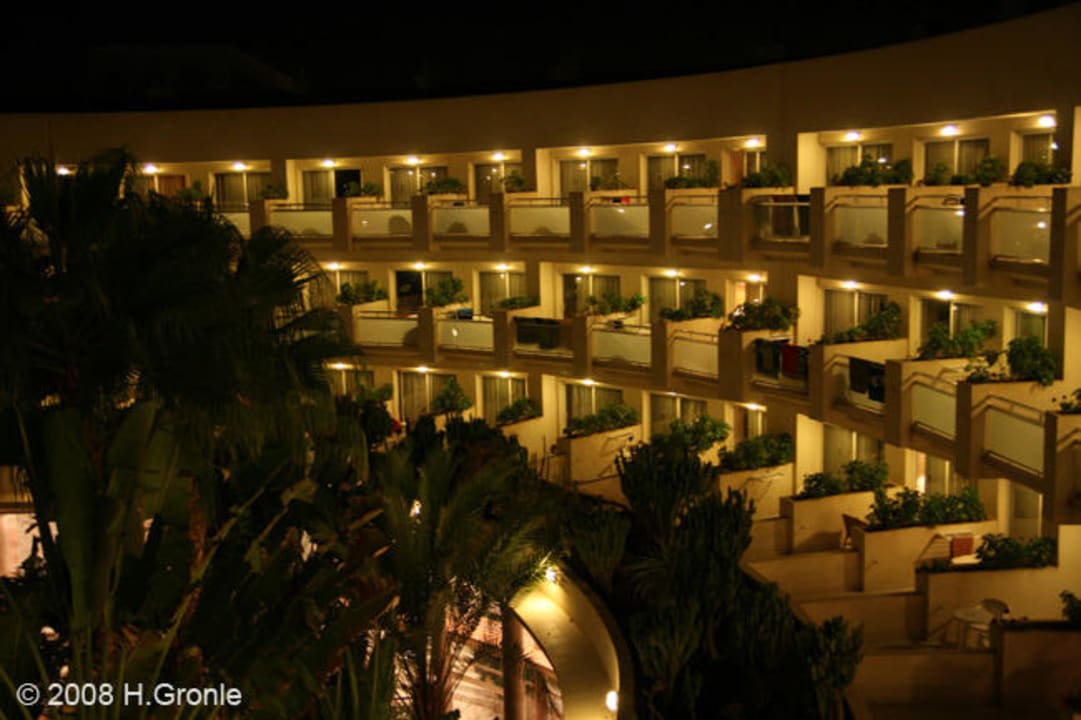 Bei Nacht Tabaiba Princess