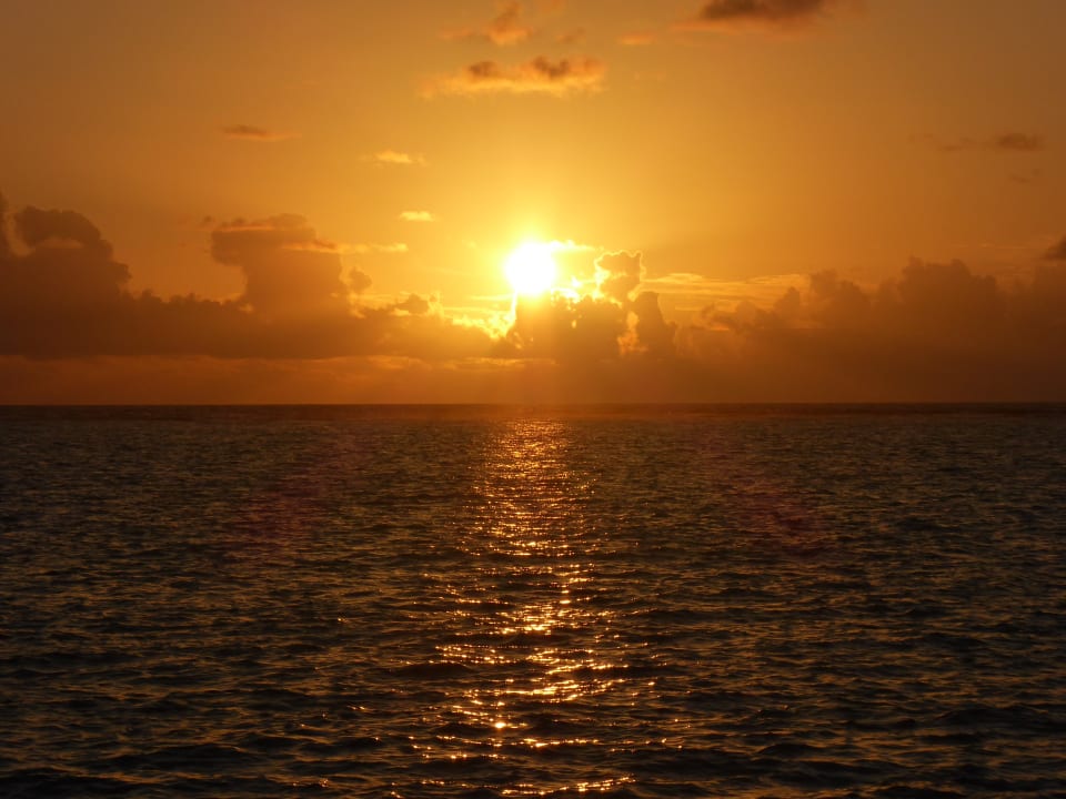 Ausblick Summer Island Maldives