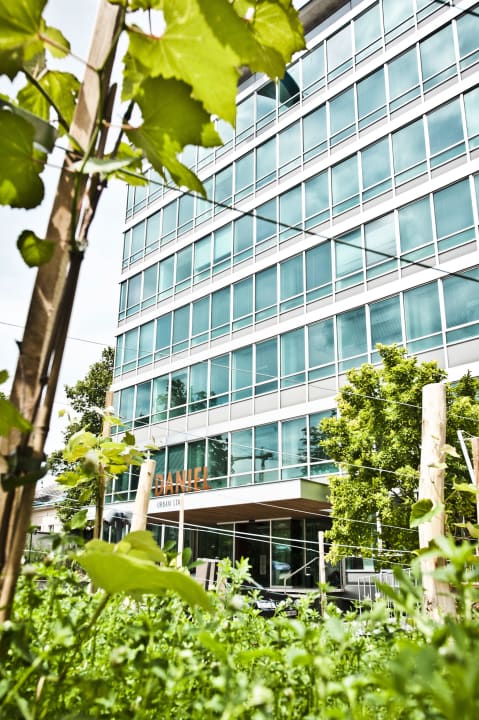 Urban Gardening Hotel Daniel Vienna