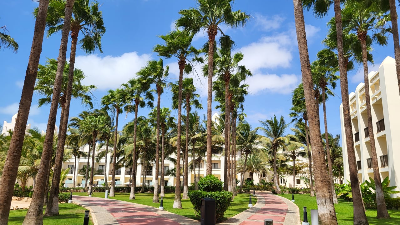 Gartenanlage Hotel Riu Karamboa