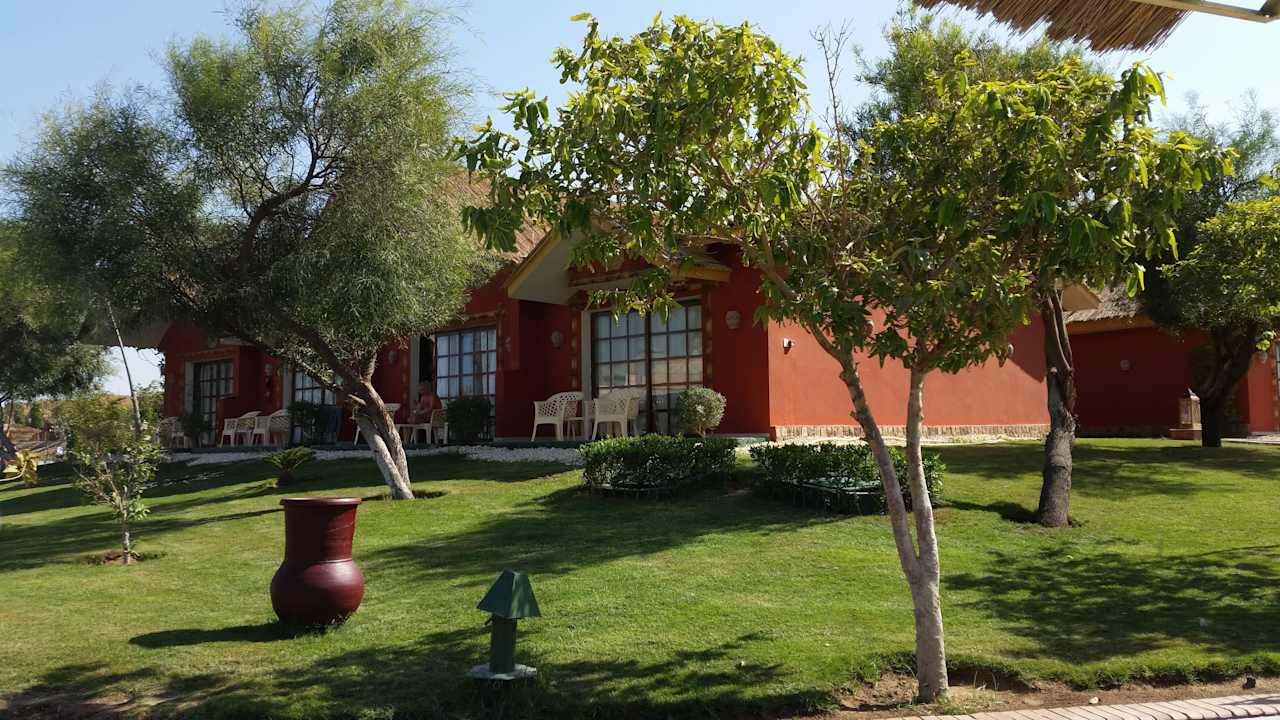 Bungalow Pickalbatros Jungle Aqua Park Resort - Neverland Hurghada
