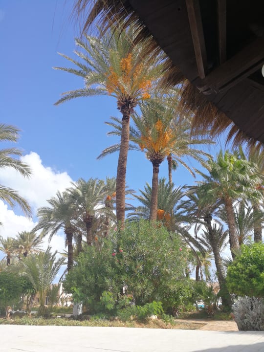 Pool Zita Beach Resort