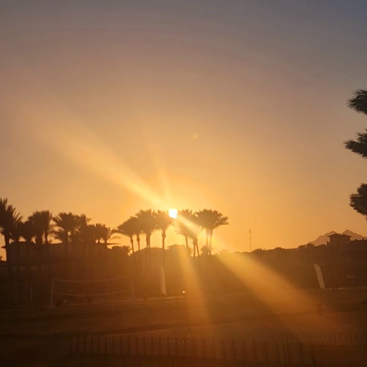 Strand Pickalbatros Laguna Vista Hotel