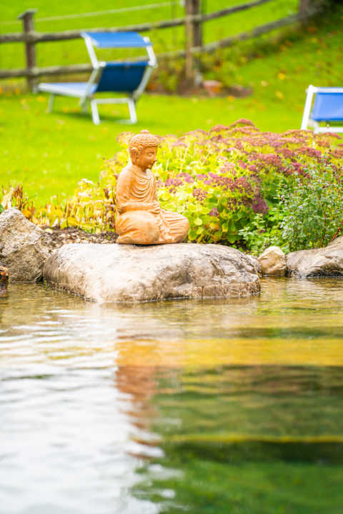 Pool BioVitalHotel Sommerau