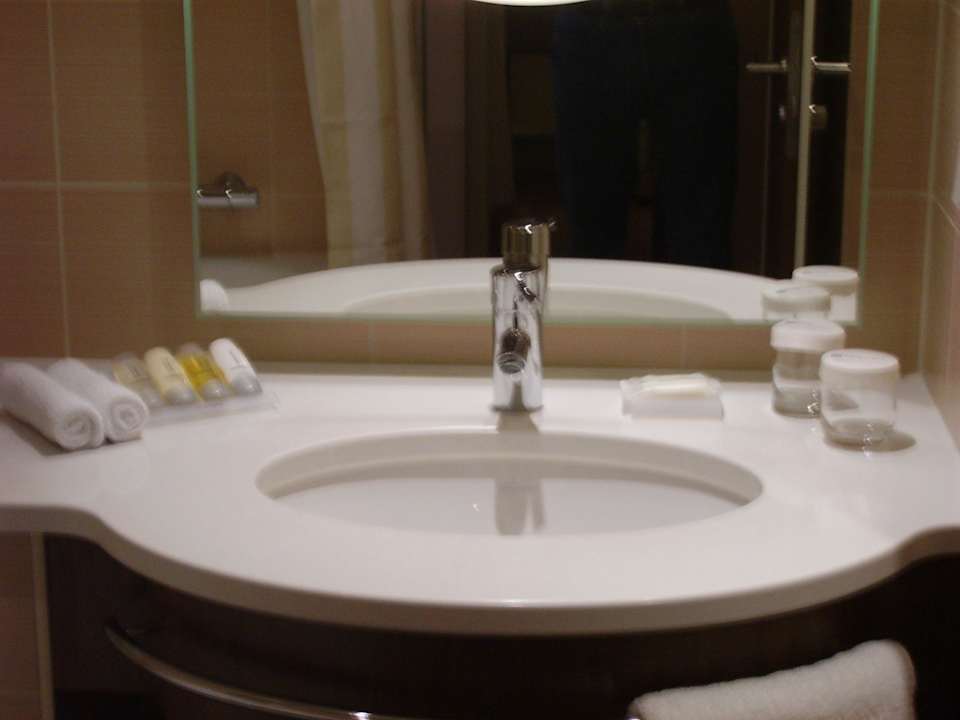 Badezimmer  Hilton Garden Inn Frankfurt Airport