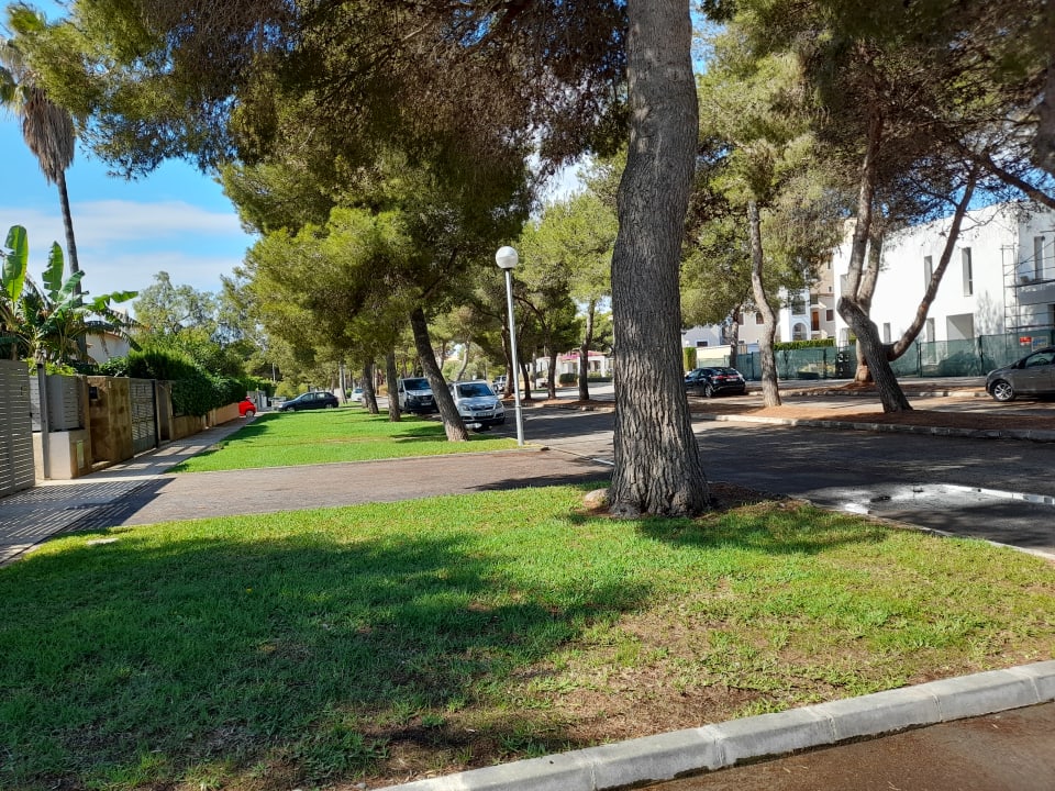 Ausblick Protur Floriana Resort Aparthotel