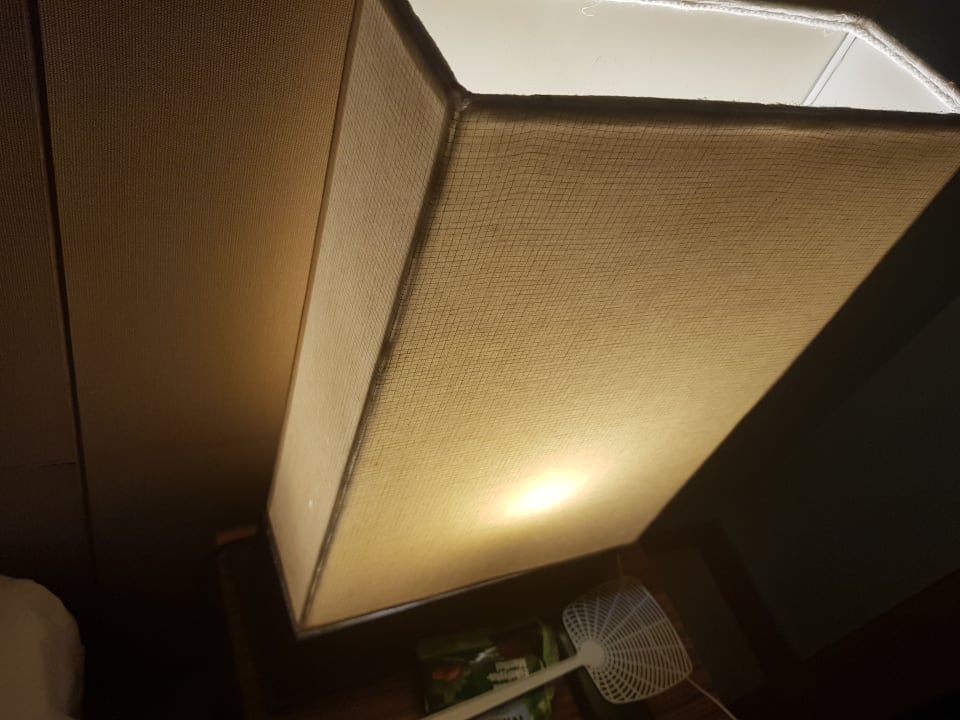 Zimmer The Green Park Resort